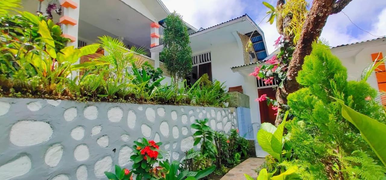 Bintang Bungalow Tour & Travel Kelimutu Extérieur photo