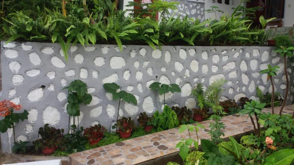 Bintang Bungalow Tour & Travel Kelimutu Extérieur photo